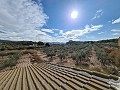 Gran Casa de Campo con Piscina de 120m2 in Alicante Dream Homes Hondon