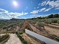 Gran Casa de Campo con Piscina de 120m2 in Alicante Dream Homes Hondon