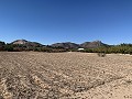 Landhaus mit herrlicher Aussicht in Alicante Dream Homes Hondon