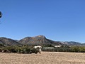 Landhaus mit herrlicher Aussicht in Alicante Dream Homes Hondon