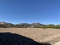 Landhaus mit herrlicher Aussicht in Alicante Dream Homes Hondon