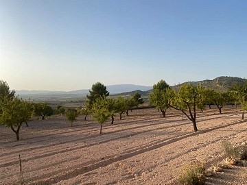 Plot of land with stunning views 