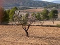 Plot of land with stunning views  in Alicante Dream Homes Hondon