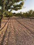 Terrain avec vue imprenable in Alicante Dream Homes Hondon