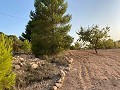 Plot of land with stunning views  in Alicante Dream Homes Hondon