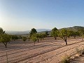 Parcela de terreno con impresionantes vistas in Alicante Dream Homes Hondon