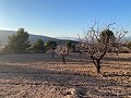 Parcela de terreno con impresionantes vistas in Alicante Dream Homes Hondon