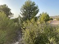 Plot of land with stunning views  in Alicante Dream Homes Hondon