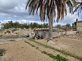 Halfvrijstaand landhuis in La Romana in Alicante Dream Homes Hondon