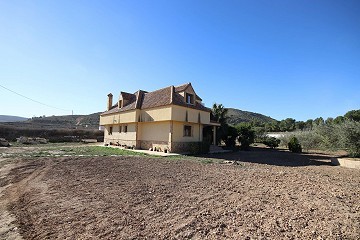 Große freistehende Villa in Aspe