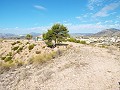 Impresionantes vistas desde esta parcela en Macisvenda in Alicante Dream Homes Hondon