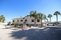 Grote vrijstaande villa met 7 bedden in Catral in Alicante Dream Homes Hondon