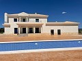 Neubau mit Pool in Pinoso in Alicante Dream Homes Hondon