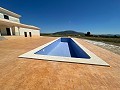 Neubau mit Pool in Pinoso in Alicante Dream Homes Hondon