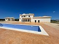 Nieuwbouw met zwembad in Pinoso in Alicante Dream Homes Hondon