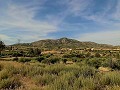 Maison de campagne de 3 chambres et dépôt de stockage à 10 minutes à pied de la ville de Barinas in Alicante Dream Homes Hondon