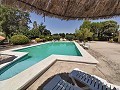 Beautiful Spacious Finca with 9 Bed, 3 Bath and Large Pool in Alicante Dream Homes Hondon