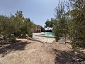 Schöne geräumige Finca mit 9 Betten, 3 Bädern und großem Pool in Alicante Dream Homes Hondon