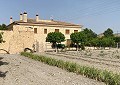 Villa massive de 5 chambres et 3 salles de bain avec écuries in Alicante Dream Homes Hondon