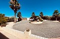 Superbe villa de 7 chambres avec piscine à Barbarroja in Alicante Dream Homes Hondon