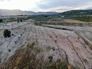 Building plots between Sax and Salinas