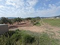 Terrain à bâtir à Salinas in Alicante Dream Homes Hondon