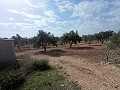 Building Plot in Salinas in Alicante Dream Homes Hondon