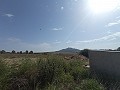 Building Plot in Salinas in Alicante Dream Homes Hondon