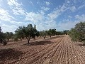 Terrain à bâtir à Salinas in Alicante Dream Homes Hondon