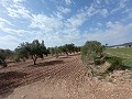 Terrain à bâtir à Salinas in Alicante Dream Homes Hondon