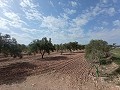 Terrain à bâtir à Salinas in Alicante Dream Homes Hondon