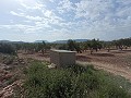 Terrain à bâtir à Salinas in Alicante Dream Homes Hondon