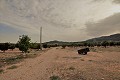 Landhaus mit 3 Schlafzimmern auf einem großen Grundstück in Alicante Dream Homes Hondon