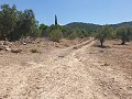 Building Plot in Biar in Alicante Dream Homes Hondon