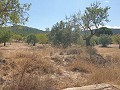 Building Plot in Biar in Alicante Dream Homes Hondon