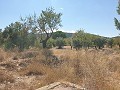 Building Plot in Biar in Alicante Dream Homes Hondon