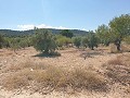 Building Plot in Biar in Alicante Dream Homes Hondon