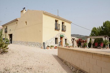 Finca antigua completamente renovada con piscina y bodega original