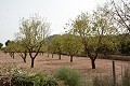 Ancienne finca entièrement rénovée avec piscine et bodega d'origine in Alicante Dream Homes Hondon