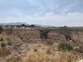 Belle finca rénovée avec piscine in Alicante Dream Homes Hondon