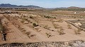 Building plot of land near Pinoso, only for new build villa in Alicante Dream Homes Hondon