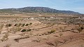 Building plot of land near Pinoso, only for new build villa in Alicante Dream Homes Hondon