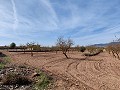 Land in Pinoso - Wiederverkauf in Alicante Dream Homes Hondon