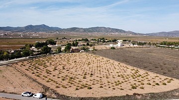 Building plot of land only for new build, in Paredon, Pinoso