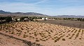 Building plot of land only for new build, in Paredon, Pinoso in Alicante Dream Homes Hondon