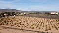 Building plot of land only for new build, in Paredon, Pinoso in Alicante Dream Homes Hondon