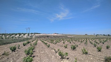 Terreno edificable con casita