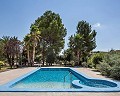 Prachtige villa in Monovar in Alicante Dream Homes Hondon