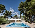 Stunning villa in Monovar in Alicante Dream Homes Hondon