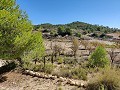 Landhaus in Monovar - Wiederverkauf in Alicante Dream Homes Hondon